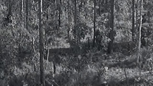 А зори здесь тихие Б Васильев смотреть онлайн