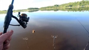 Рыбалка в Калужской области !!!  оз. Букань 09.06.2022г