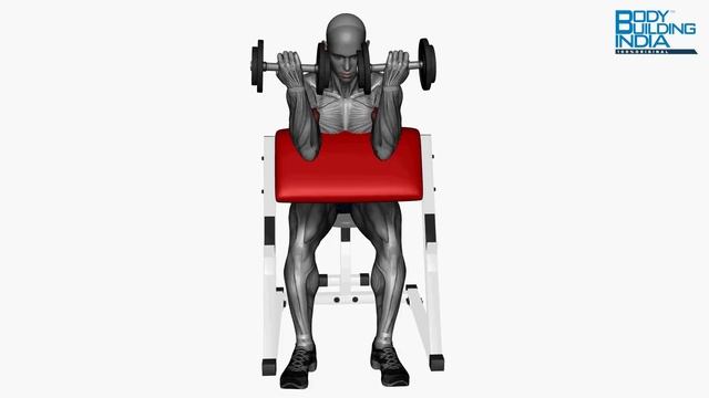 Biceps Workout  Exercise 32  Preacher Curl Dumbbells Simultaneous  Bodybuilding India
