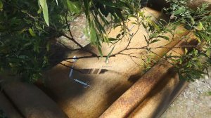 SCUM №302,2 Режим "Исследователь"4k 60к/с - Логово наркоманов. #scum #gameexplorer #скам