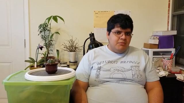 Day 12 - Gymnocalycium Saglionis смотреть онлайн