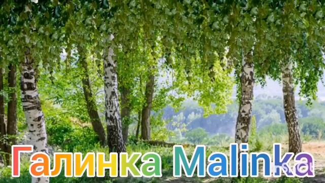 Ольга Уралочка live /Праздник у Сарафана и его друзей /Обзор Влогов /Уралочка и Сафар /