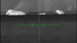 охота на кабанов с подхода. теплоприцел Cono Polaris 335r. дистанция 330 метров.