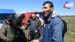 Маршрут перегона овец проходит через дома и дворы жителей села Ахали Хулгумо