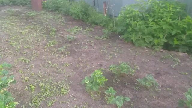 дача 30 смотреть онлайн