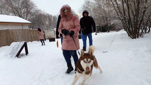 Рекомендуем семейный отдых в парке Сказка в Крылатском!