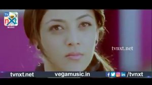 Businessman Telugu Movie Songs | Pilla Chao Video Song | Mahesh Babu | Prakash Raj | Vega Music