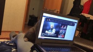 Кот и ноутбук не совместимы 18+