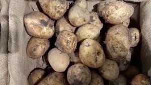 НЕ СПЕШИТЕ ВЫБРАСЫВАТЬ остатки обоев! ЧТО МОЖНО СДЕЛАТЬ