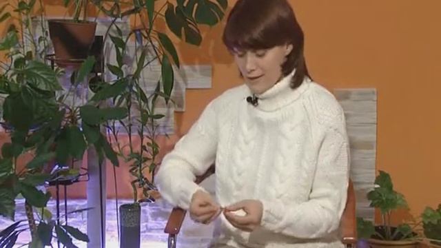 Фэн-шуй 07 Как найти себя в жизни и карьере смотреть онлайн