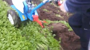 Нева мб-2. Вспашка плугом.