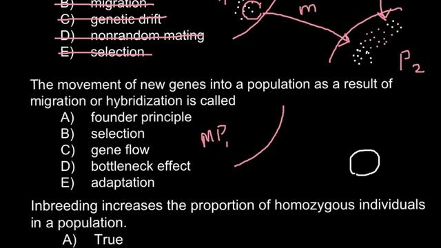 What is the ultimate source of genetic variability