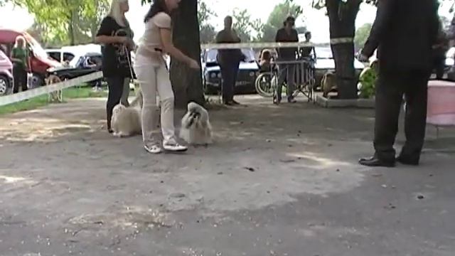 15.09.2012 Кривой Рог моно класс чемпионов и выбор ЛК смотреть онлайн