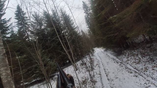 Охота на рябчика с собакой