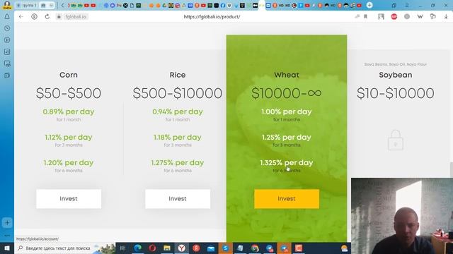 FGI Food Global Investment ОБЗОР И ВЫВОД СРЕДСТВ смотреть онлайн