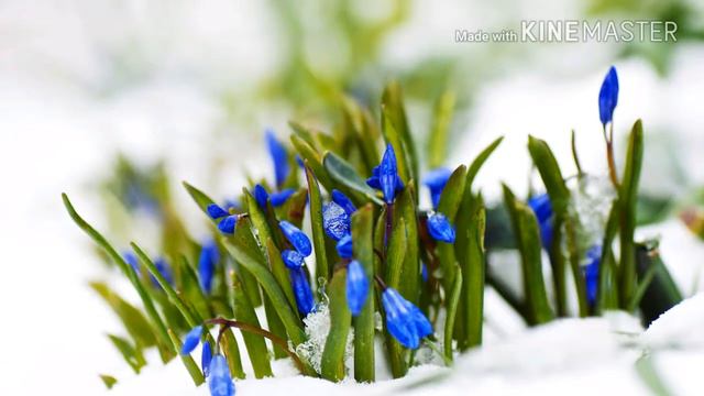 Rustles of Spring - Sinding смотреть онлайн