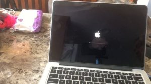 MacBook Pro A1502 Boot Logo Stuck