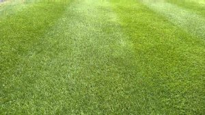 Get A STRONG Lawn Stripe using attachments