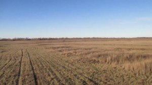 Панорама 360° опустевшего села Славянка (Марксовский район)