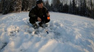 Рыбалка на жерлицы Даровской район Первые Бобровы