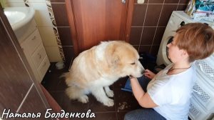 Навели красоту》Как я солю сало》День наполненный делами