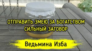 ОТПРАВИТЬ ЗМЕЮ ЗА БОГАТСТВОМ. СИЛЬНЫЙ ЗАГОВОР. ДЛЯ ВСЕХ. ВЕДЬМИНА ИЗБА ▶️ ИНГА ХОСРОЕВА