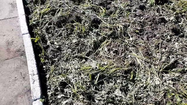 ПОСТАВИЛ ДВЕРЬ СНЯЛ ОПАЛУБКУ, ГЛАЗ РАДУЕТСЯ смотреть онлайн