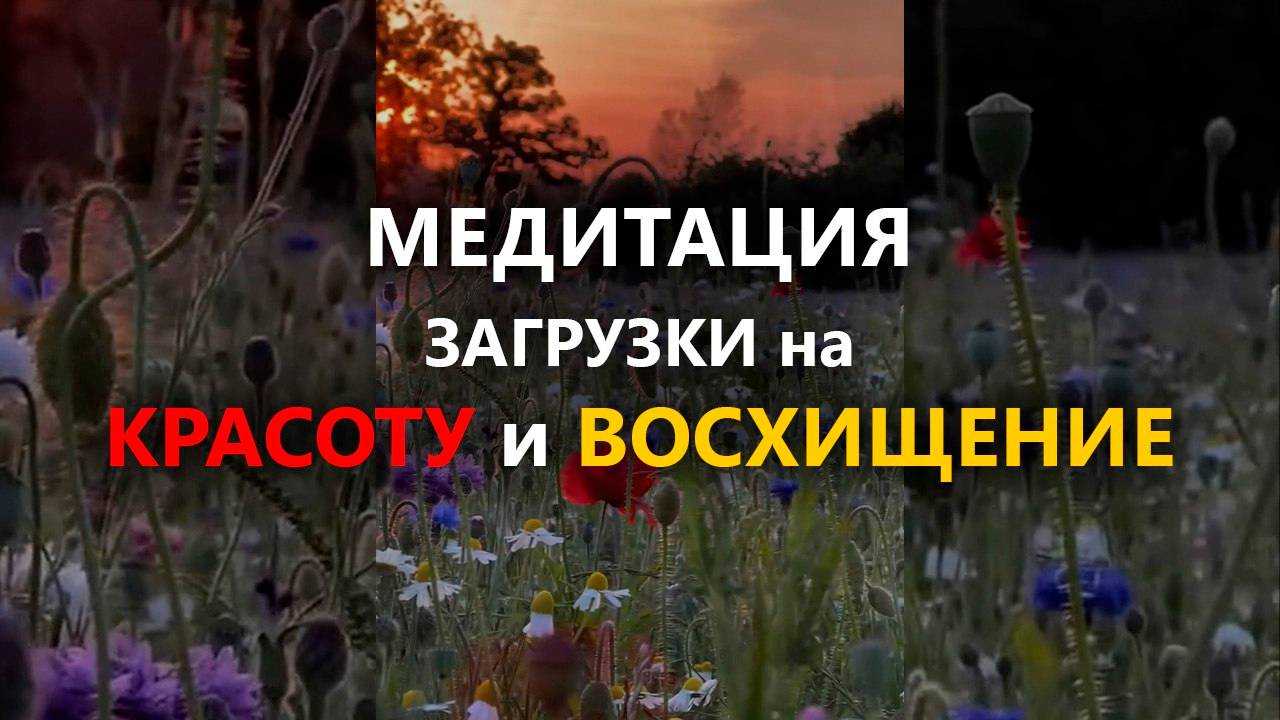 МЕДИТАЦИЯ ЗАГРУЗКИ на КРАСОТУ и ВОСХИЩЕНИЕ #исцеляющаямедитация #психология #гипноз  #медитация
