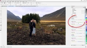 Learn How to Make Quick Photo Edits with the Adjustments Docker in Corel PHOTO-PAINT | Windows