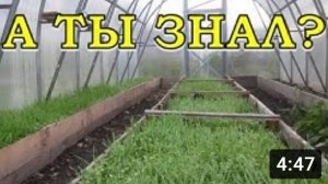 ПЕРВЫЕ РАБОТЫ в теплице весной???