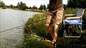 Херабуна с AliExpress.Выбор бюдженой качественной удочки.