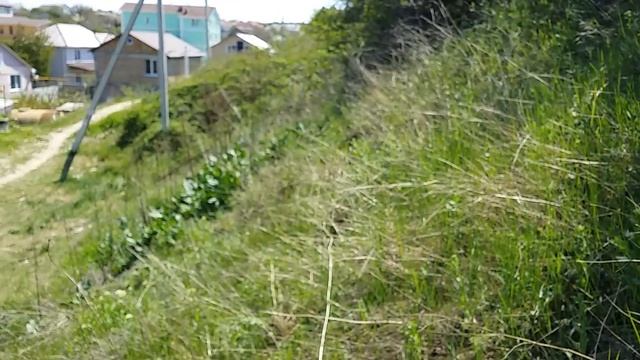 Посадка Дуба (Черешчатого)АР Крым г.Севастополь р-он Дергачи 2020г. смотреть онлайн