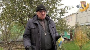 Посадка хвойных осенью