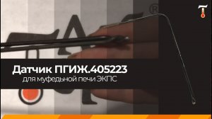Датчик ПГИЖ.405223 для муфельной печи ЭКПС до 1100, обзор. Лаб-Терм