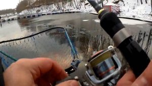 Форель на платнике Савельево 2 Пирогово 1 ноября вип.