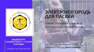 Электроизгородь для пасеки от медведей (Гвелф, Канада)