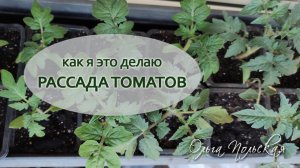 Колдую с рассадой томатов |  Vlog дача как есть. Хроника. 8.04.2023