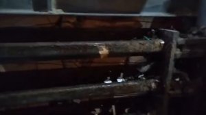 Работа горизонтального пресса Jewel JPW80QT-P. Усилие прессования 80 тонн, мощность 37 кВт. - 1