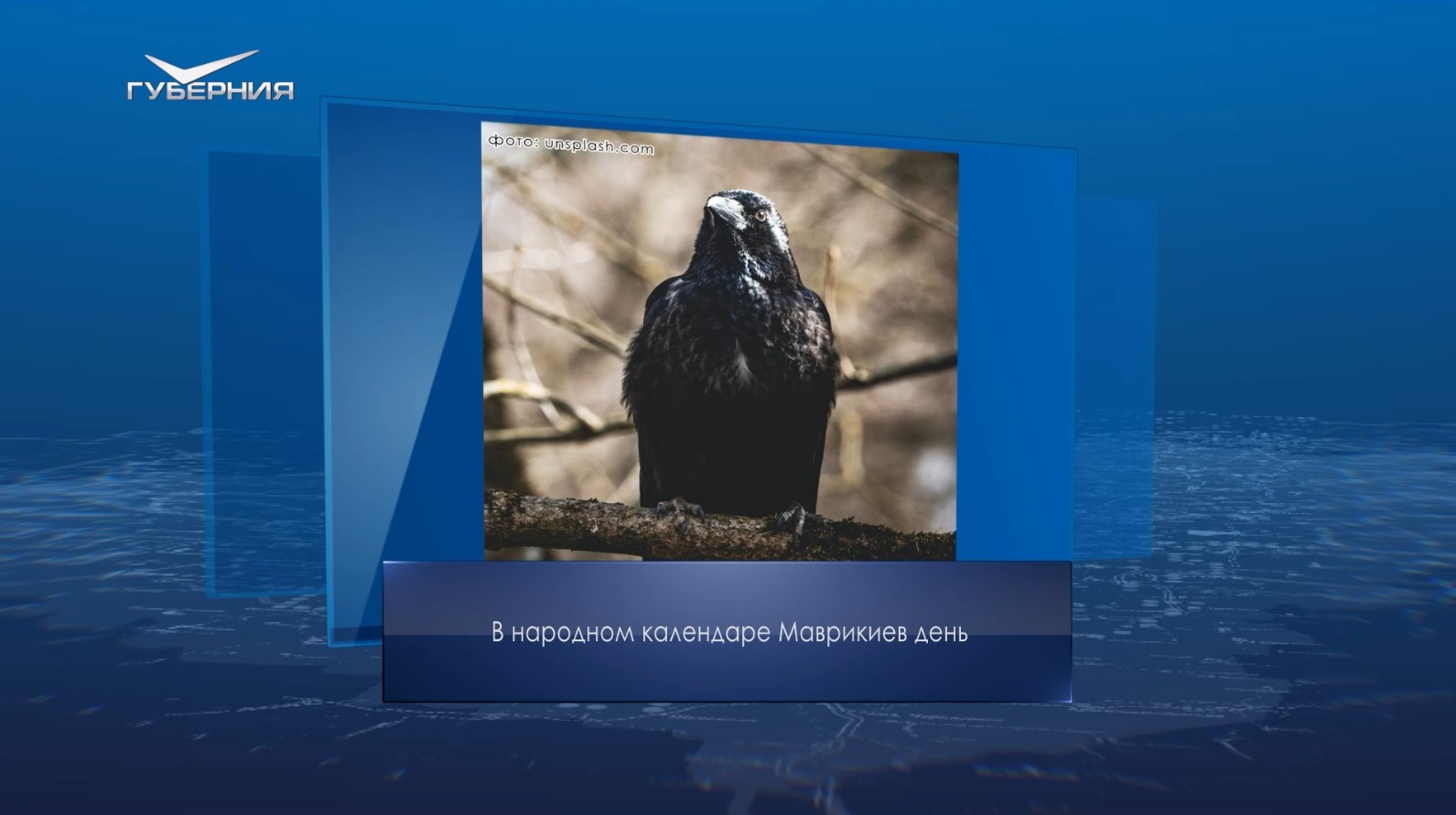 Маврикиев день. Календарь Губернии от 7 марта