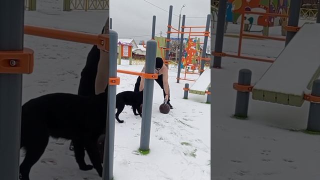 первый снег