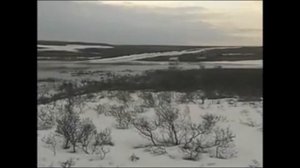 Зимник Ямал 2013 (бованенково)