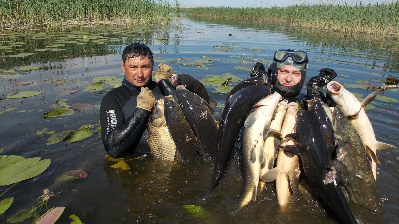 Подводная Охота Без Цензуры, Spearfishing Uncensored