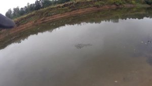 Щучка!р Стежера!Хороший день!