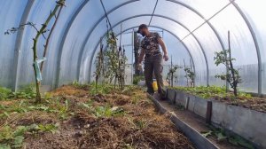 Живу ОДИН В ДЕРЕВНЕ! Для СЧАСТЬЯ нужно очень мало.