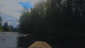 Кузема. Река в Карелии для сплава. Поход по Карелии по реке и Белому морю