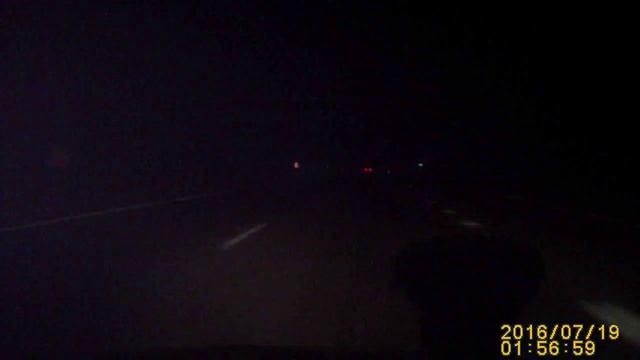 осторожно дикие животные на м4 смотреть онлайн