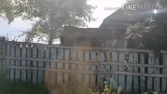 ЕДЕМ КУПАТЬСЯ!!!! смотреть онлайн