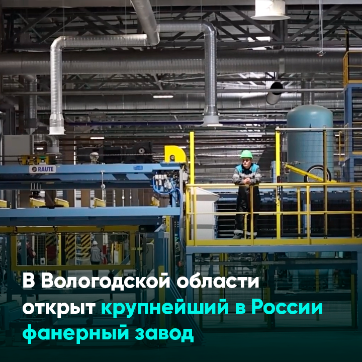 В Вологодской области открыт крупнейший в России фанерный завод