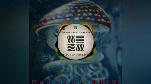 ТРИАГРУТРИКА - ТИГРА СТИЛЬ FEAT TAJ MAHAL (ОУ74)