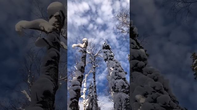 Тур на Зюраткуль и Мараловую ферму